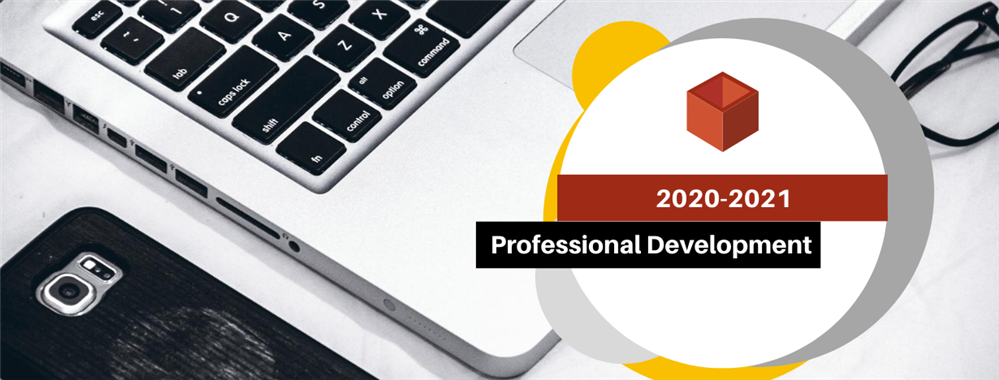 Professional Development Professional Development